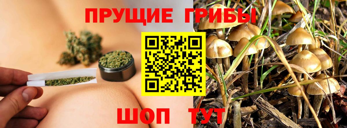 купить закладку  Вход с VPN  Галлюциногенные грибы мухоморы  Краснокамск  Галлюциногенные грибы мицелий 