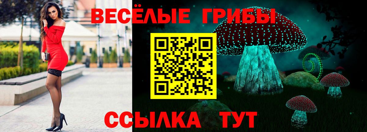 Галлюциногенные грибы Psilocybine cubensis Краснокамск
