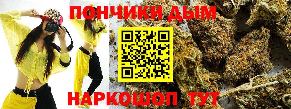 Конопля тримм  Вход с VPN  Краснокамск  Бошки Шишки Amnesia  Каннабис гибрид 